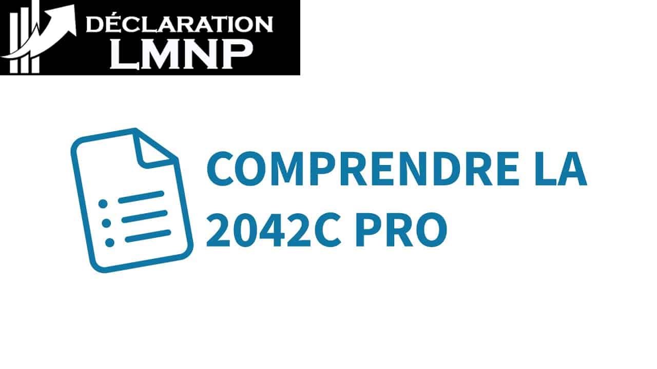 comment remplir le formulaire 2042 c pro pour lmnp